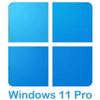 windows 11 pro logo